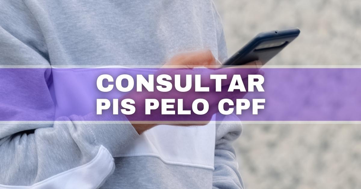 Saiba como consultar o número do seu PIS usando apenas o CPF