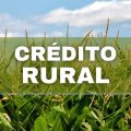 Crédito Rural: conheça o empréstimo especial para agricultores familiares