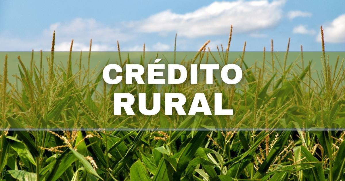 Crédito Rural: Conheça O Empréstimo Especial Para Agricultores Familiares