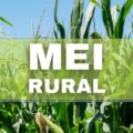 MEI rural: o que é, como funciona e quem pode fazer o registro?