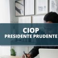 CIOP de Presidente Prudente – SP abre processo seletivo