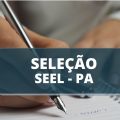 Seel – PA abre novas vagas em edital simplificado