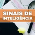 Estes 5 sinais estranhos mostram que você é mais inteligente do que pensa