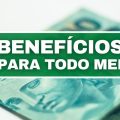 Confira 6 benefícios previdenciários que todo MEI tem direito em 2022