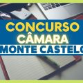 Concurso Câmara de Monte Castelo – SC: edital e inscrição