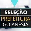 Prefeitura de Goianésia – GO divulga edital de seleção simplificada