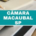 Concurso Câmara de Macaubal – SP: vagas imediatas com ganhos de até R$ 4,1 mil