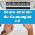 Concurso Prefeitura de Santo Antônio do Aracanguá – SP: edital retificado; 118 vagas