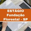 Estágio Fundação Florestal – SP: 67 vagas remuneradas em diversas cidades