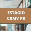 Estágio CRMV PR: edital de processo seletivo é publicado