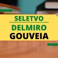 Prefeitura de Delmiro Gouveia – AL publica edital com 90 vagas