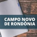 Prefeitura de Campo Novo de Rondônia – RO divulga processo seletivo