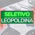 Prefeitura de Leopoldina – MG abre novas vagas em seleção