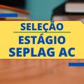 Estágio SEPLAG AC: confira as vagas disponíveis