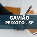 Concurso Prefeitura de Gavião Peixoto – SP: edital anuncia vencimentos de até R$ 9,1 mil