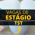 Estágio TST: edital publicado com vagas em jornada de 20 horas