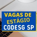 Vagas de estágio na CODESG – SP: edital e inscrições