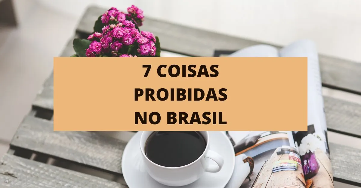 7 coisas proibidas no Brasil, coisas proibidas no Brasil