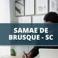 Concurso SAMAE de Brusque – SC: edital publicado possui vencimentos de até R$ 10 mil