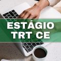 Estágio TRT 7ª Região – CE oferece bolsa auxílio de R$ 863 mais transporte