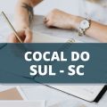 Concurso Câmara de Cocal do Sul – SC: edital publicado; confira como participar