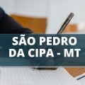 Concurso Câmara de São Pedro da Cipa – MT: confira as oportunidades disponíveis