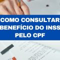 INSS: saiba como consultar seu benefício de 2023 pelo CPF