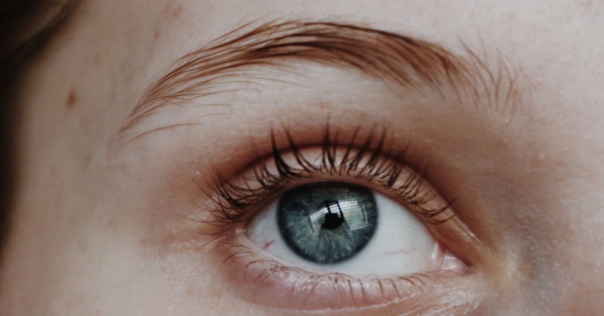 para que serve a parte branca dos olhos, para que serve a esclera, quais são as partes dos olhos, como a imagem é formada nos olhos, sistema complexo óptico.