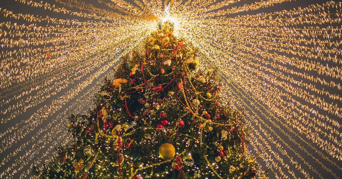 Qual é o verdadeiro significado da Árvore de Natal? Descubra aqui