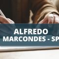 Concurso Prefeitura de Alfredo Marcondes – SP: edital é publicado