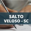 Concurso Prefeitura de Salto Veloso – SC: edital com 30 vagas é retificado