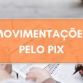 Pix atinge recorde e chega a quase R$ 11 trilhões em movimentações