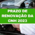 Renovação da CNH 2023: veja quais são as regras e prazos