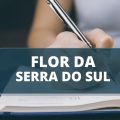 Prefeitura de Flor da Serra do Sul – PR publica edital de processo seletivo