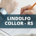 Prefeitura de Lindolfo Collor – RS publica edital de processo seletivo