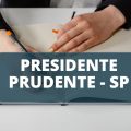 Prefeitura de Presidente Prudente – SP anuncia processo seletivo na área da educação