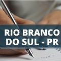 Prefeitura de Rio Branco do Sul – PR divulga edital com 28 vagas