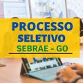 SEBRAE GO anuncia edital de processo seletivo; até R$ 7,9 mil