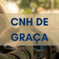 CNH gratuita: este estado oferece 1.000 vagas para quem quer ter a habilitação