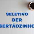 Diretoria de Ensino de Sertãozinho – SP abre processo seletivo