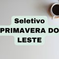 Prefeitura de Primavera do Leste – MT abre novas vagas; até R$ 14,2 mil