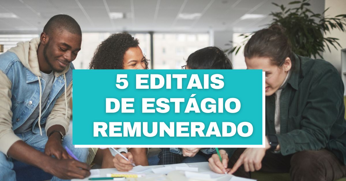 5 editais com vagas abertas de estágio remunerado; até R$ 1,1 mil, seleção de estagiários, vagas abertas de estágio, editais de estágio remunerado