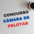 Concurso Câmara de Pelotas – RS abre 12 vagas; até R$ 6.559,67