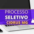 CIDRUS – MG divulga edital de processo seletivo