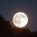Super Lua Rosa foi apenas a primeira desse tipo em 2023; outras duas estão previstas