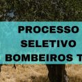 Bombeiros – TO abre processo seletivo para Brigadistas Florestais