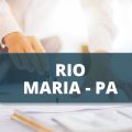 Concurso Prefeitura de Rio Maria – PA: edital oferta mais de 350 vagas