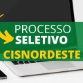 CISNORDESTE – SC abre processo seletivo