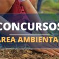 3 concursos foram autorizados na área ambiental; confira os detalhes