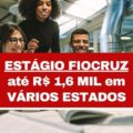 Estágio Fiocruz paga bolsa-auxílio até R$ 1,6 mil para estudantes